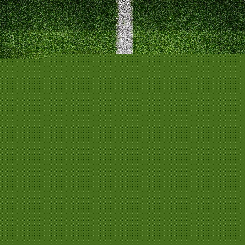 这种心态的 这种心态的