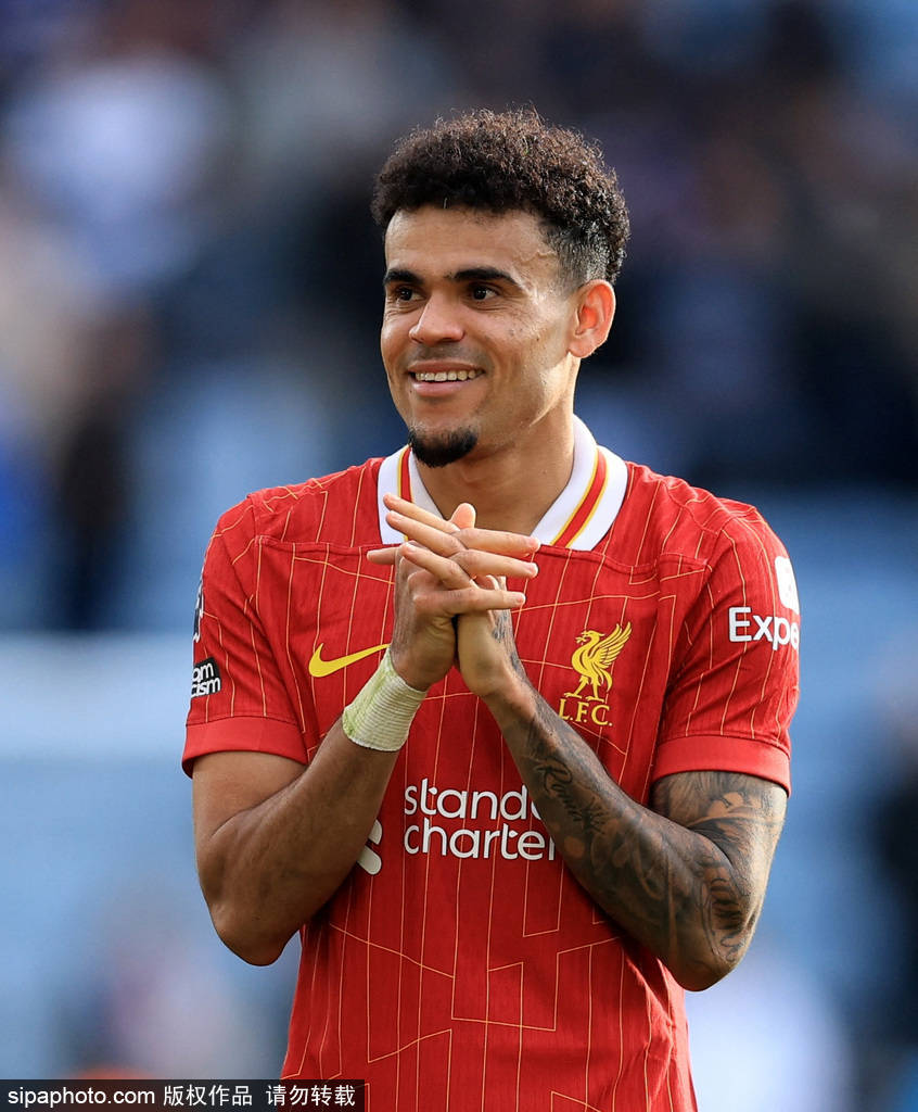 重新回到单 重新回到单