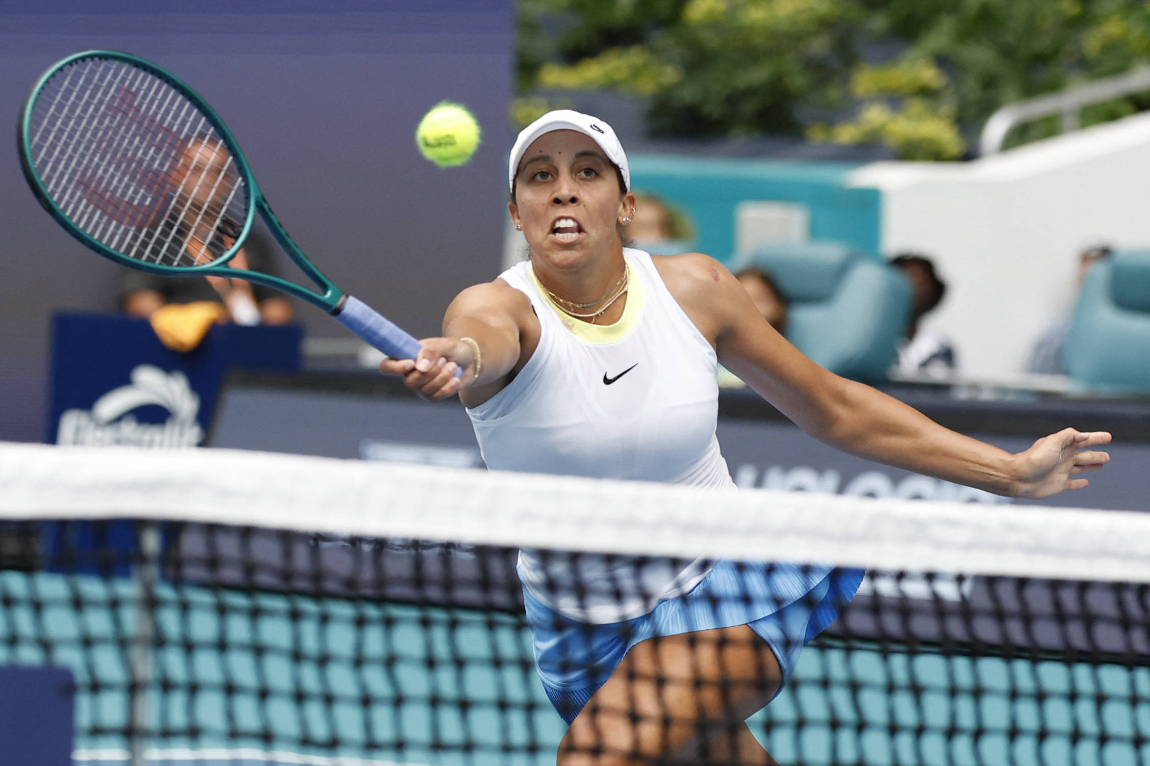 中的珍貴記 中的珍貴記