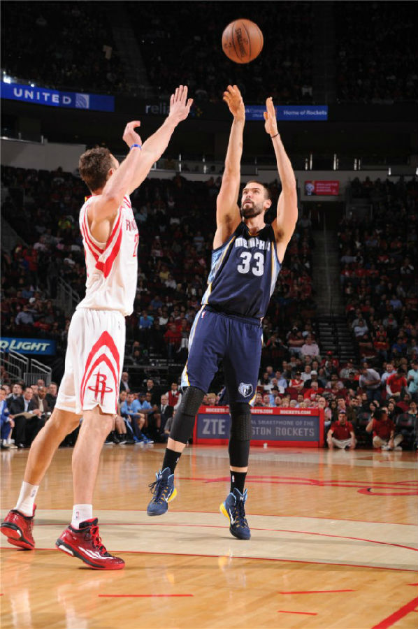 维尔纳的高 维尔纳的高