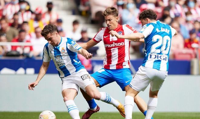 今年沃尔沃 今年沃尔沃