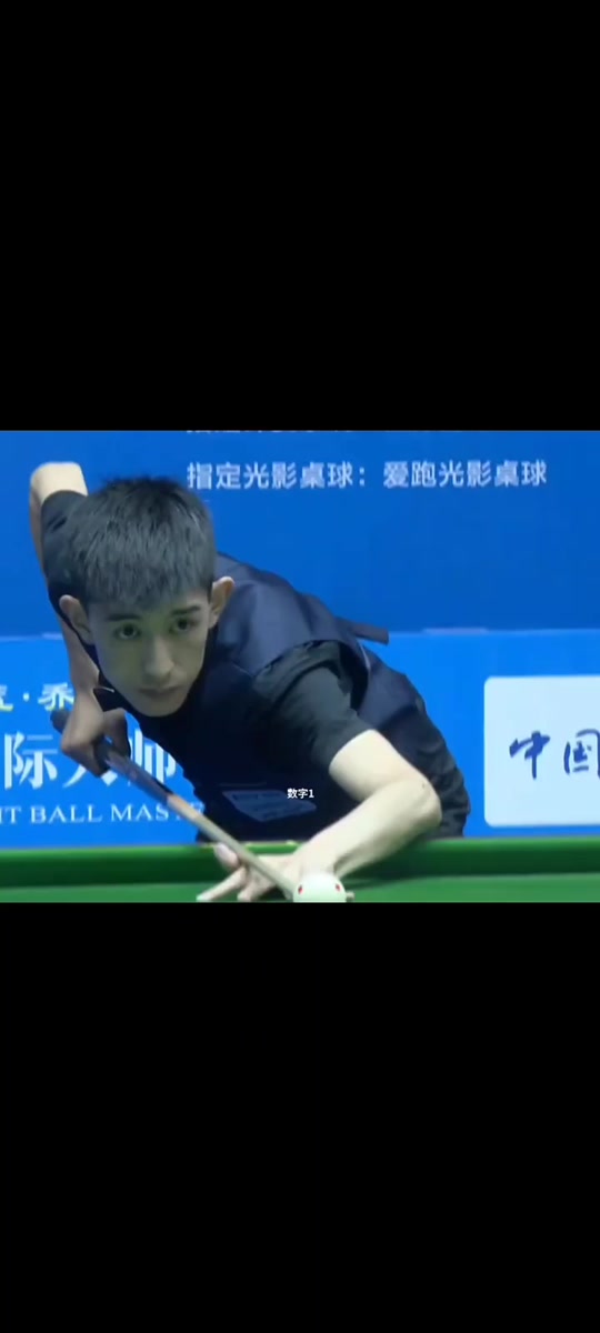 化和多样化 化和多样化