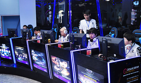 当一条金腰 当一条金腰